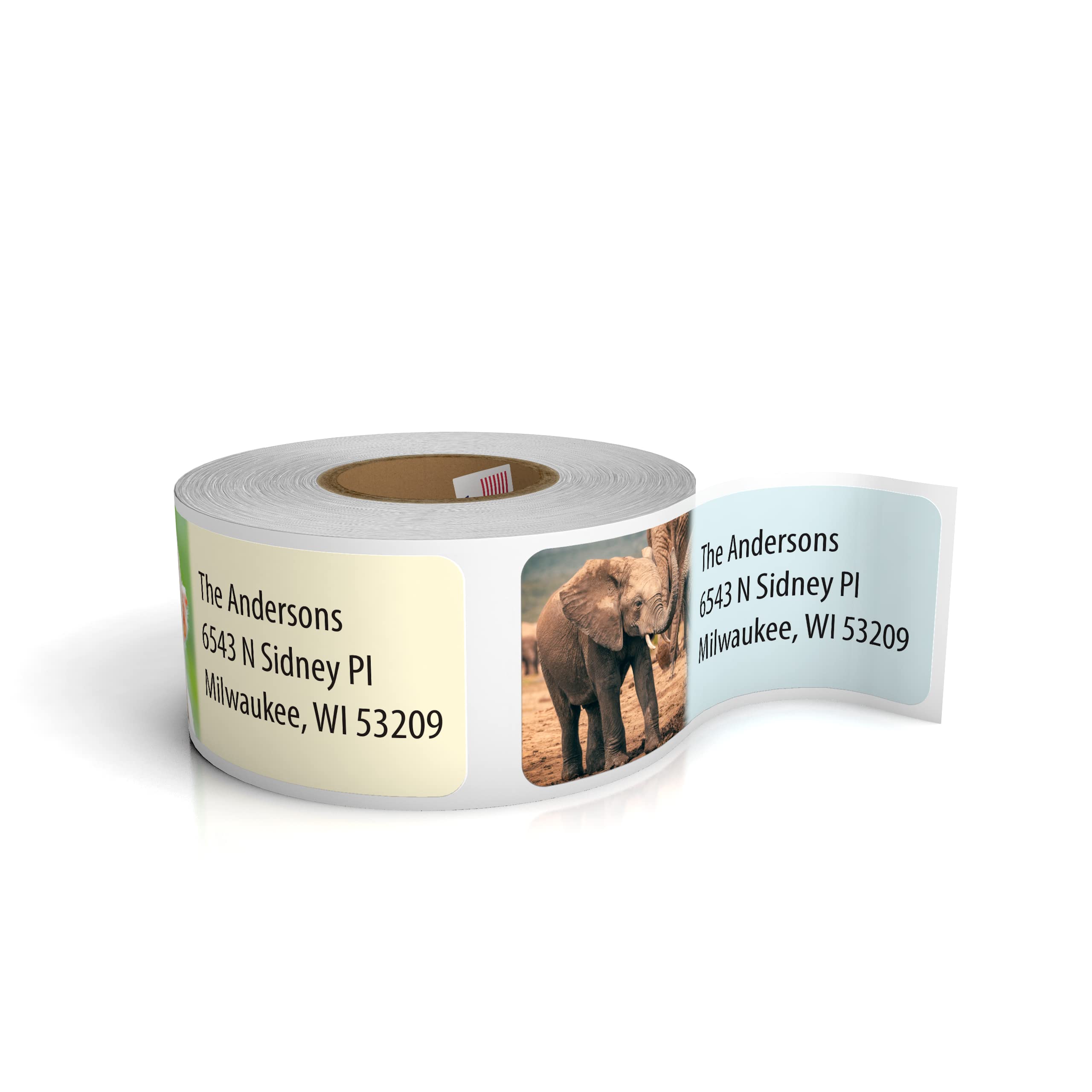 Customized Personalized Address Labels   Made In The Usa By Kenco (Wild Animals, 250 Labels)